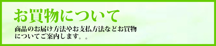 お買物について