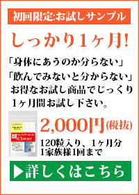 初回限定お試しサンプル